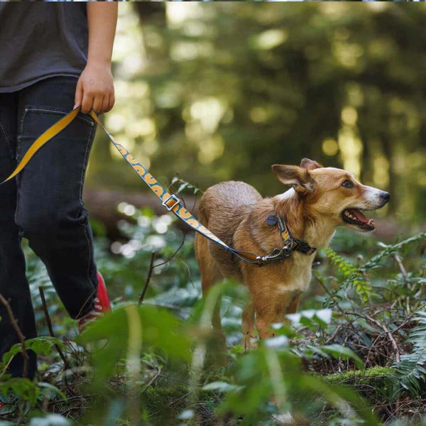 (預訂產品 Pre-Order) RUFFWEAR - CRAG™ 反光狗狗頸圈