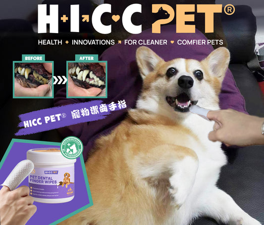 HICC PET - 寵物潔齒手指50片裝  Pet Dental Finger Wipes 50pcs