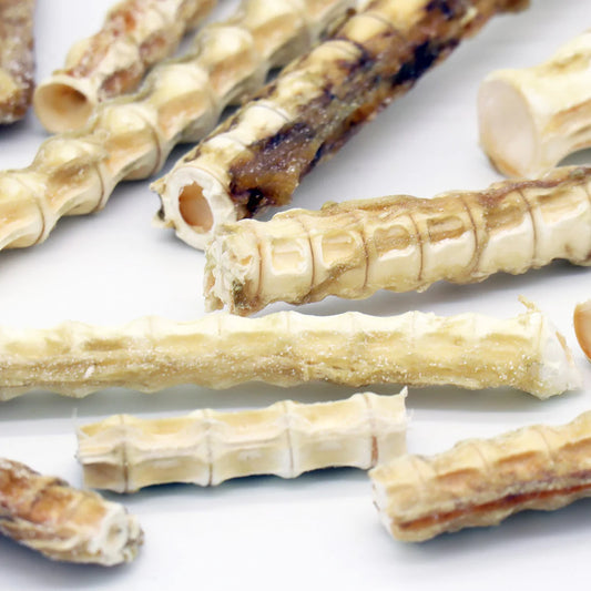 CHEWY CHEWS - SHARK CARTILAGE CHEWS 鯊魚軟骨