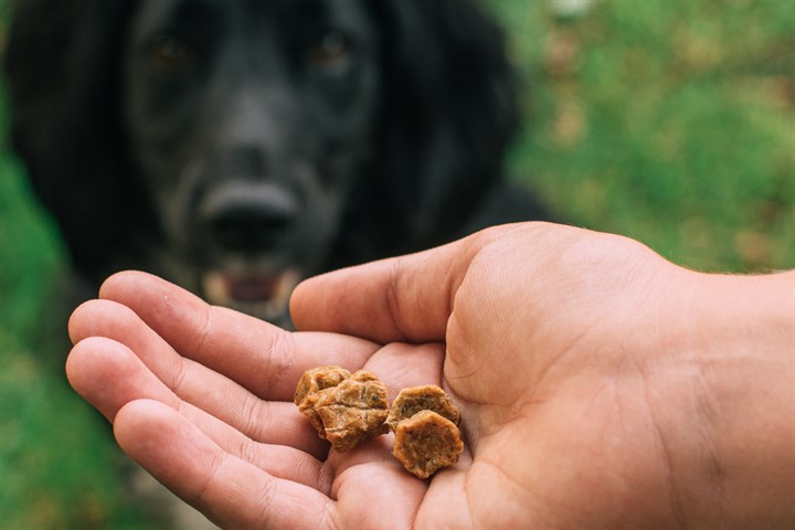 TRIBAL -  Training Dog Treats訓練零食