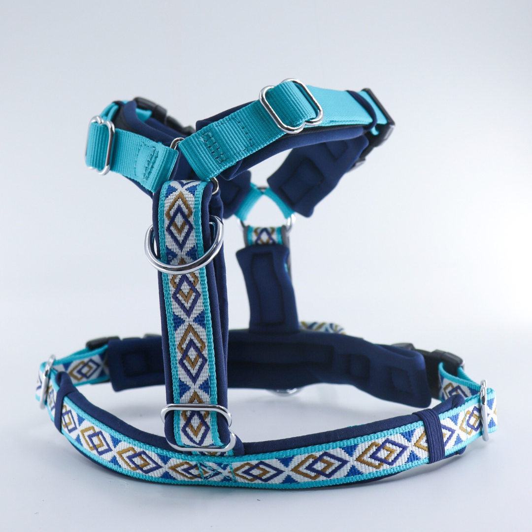 (Pre- Order) PEGAPAWS - TRAILBLAZER HARNESS