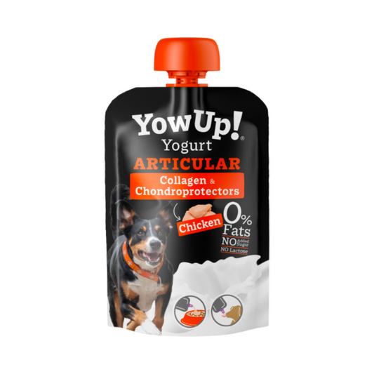 YOWUP! - YOGURT ARTICULAR DOG 關節保護乳酪