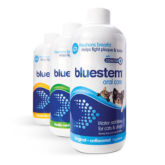 BLUESTEM™ - 牙菌清濃縮潔⿒⽔
