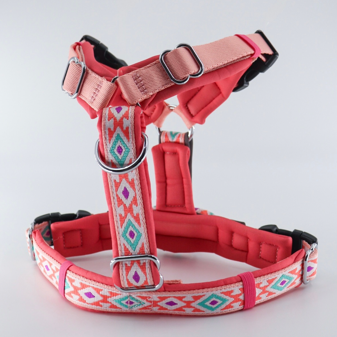 (Pre- Order) PEGAPAWS - TRAILBLAZER HARNESS