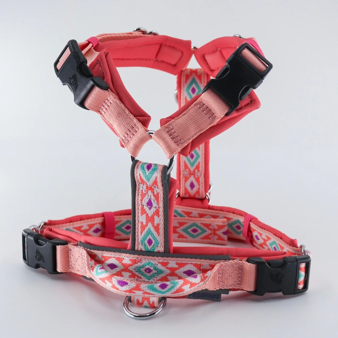 (Pre- Order) PEGAPAWS - TRAILBLAZER HARNESS