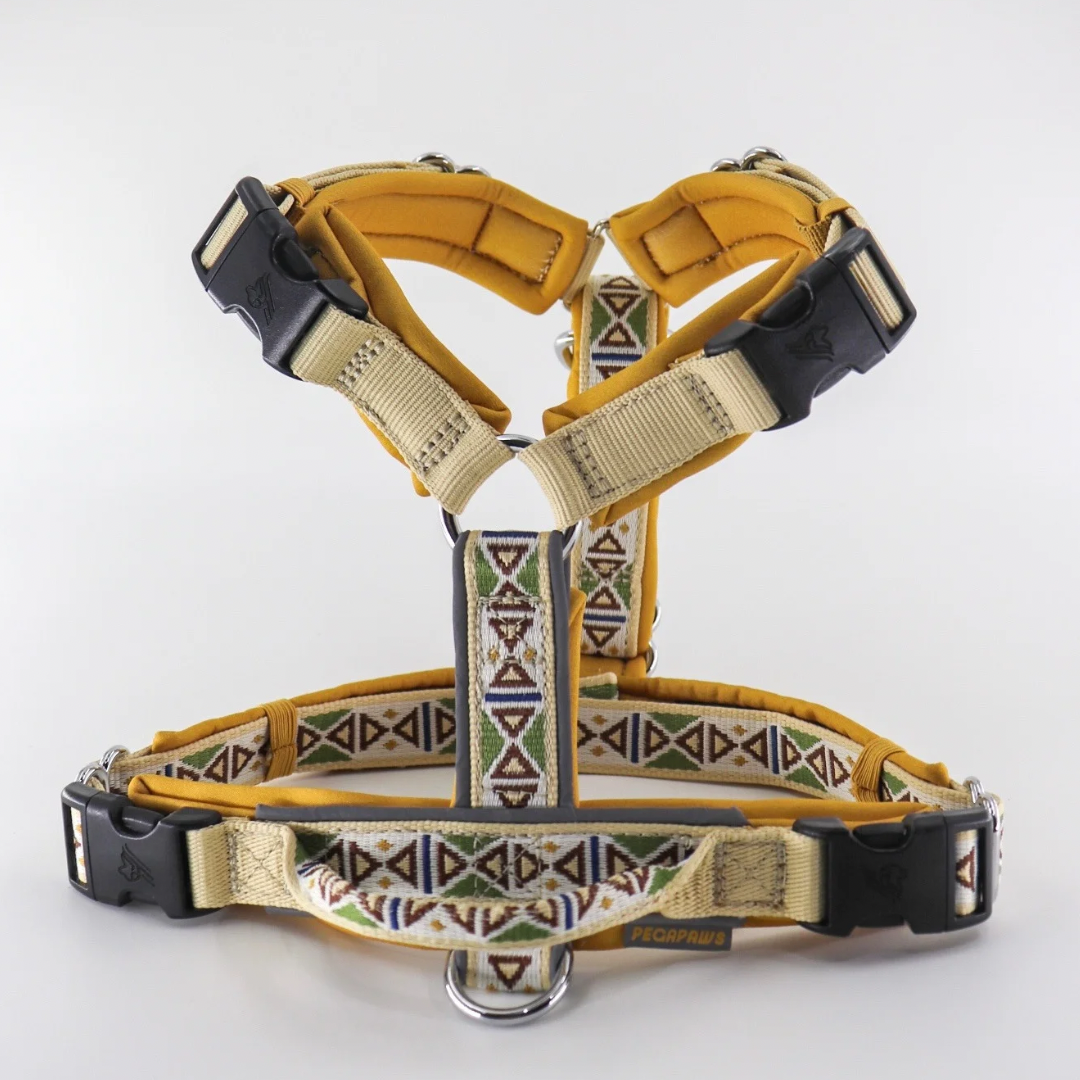 (Pre- Order) PEGAPAWS - TRAILBLAZER HARNESS