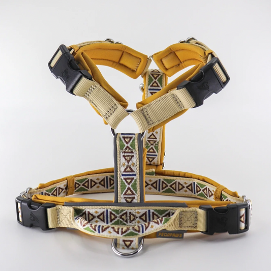 (Pre- Order) PEGAPAWS - TRAILBLAZER HARNESS