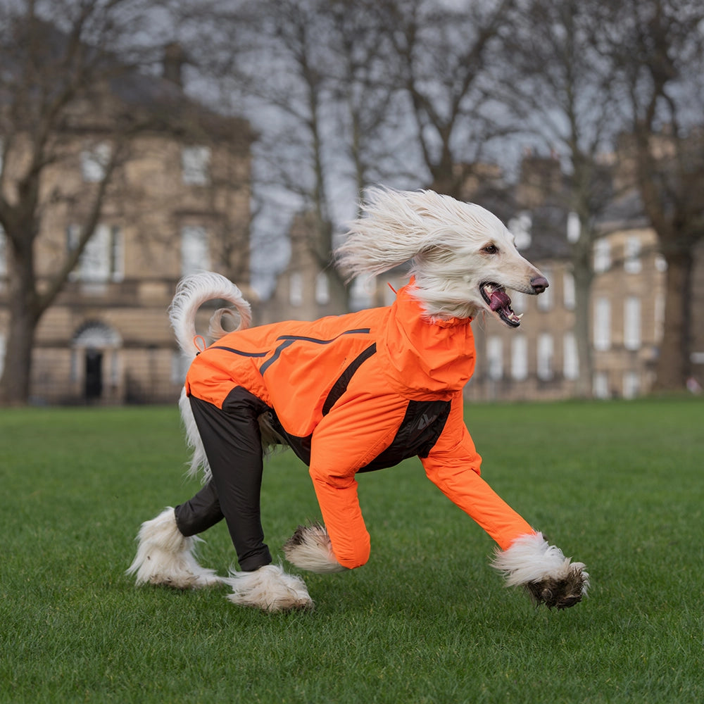 (Pre-Order)  NON-STOP DOGWEAR-Fjord Overall Raincoat
