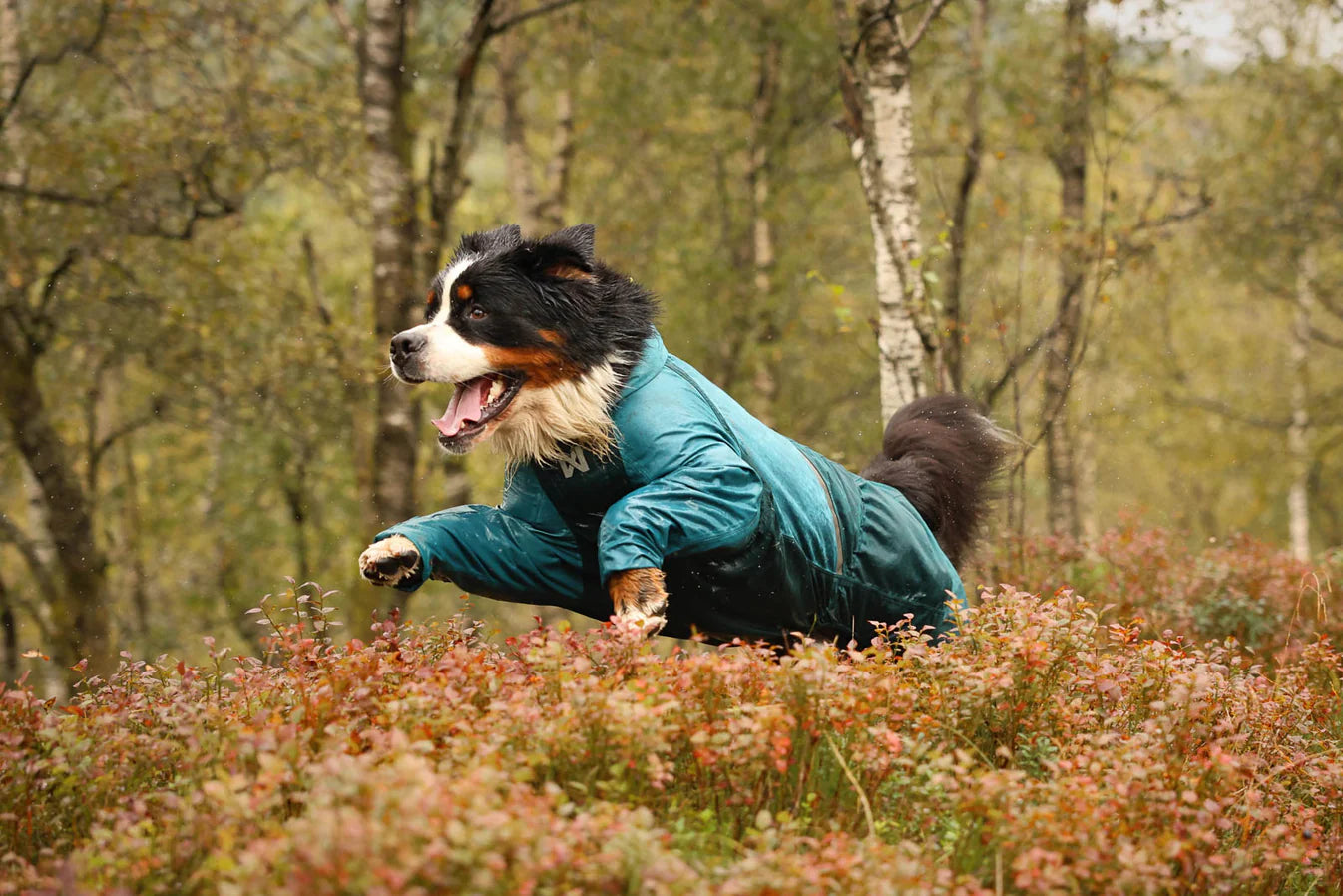 (Pre-Order)  NON-STOP DOGWEAR-Fjord Overall Raincoat
