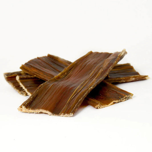 SANADOG - BEEF GULLET FLAT 牛食道