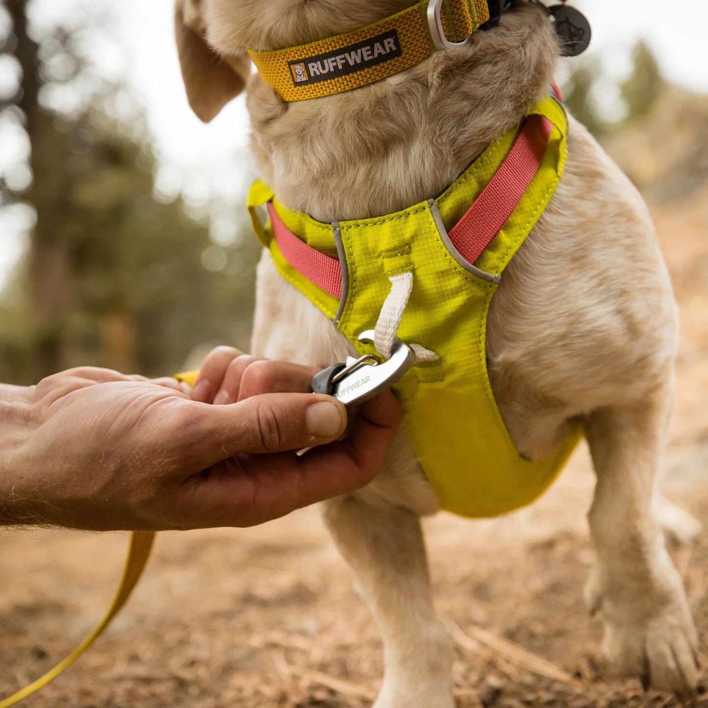 (預訂產品 Pre-Order) RUFFWEAR - HI & LIGHT™ 輕巧狗牽繩帶