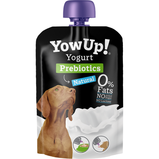 YOWUP! - YOGURT NATURAL DOG 原味乳酪