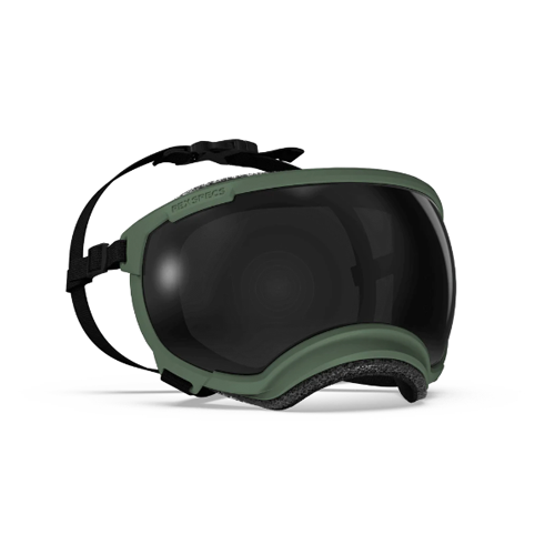 REX SPECS - V2 護目鏡