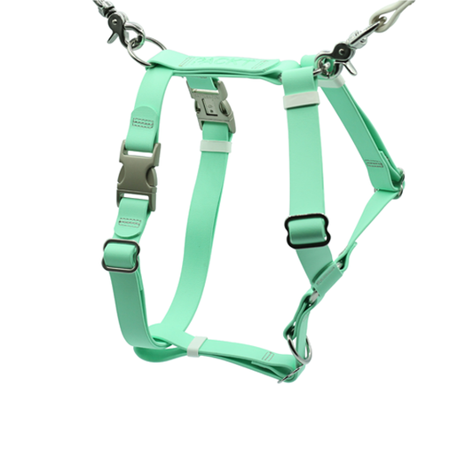 PACKT - ASCENT Harness 防水胸帶 (Spring Collection)