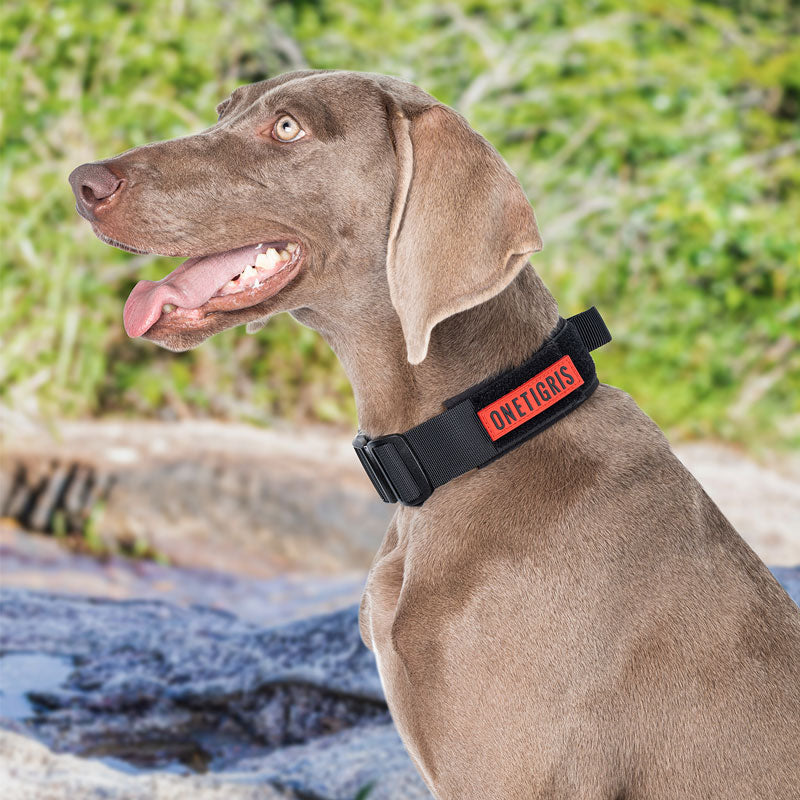 Onetigris clearance dog collar