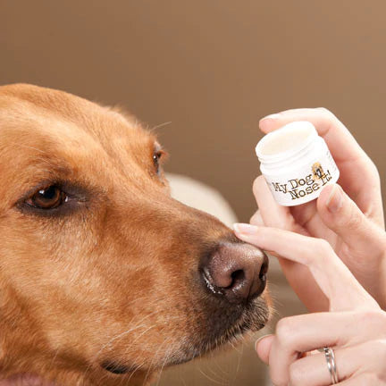 Ferox Outdoor MY DOG NOSE IT Sunscreen Balm Ferox